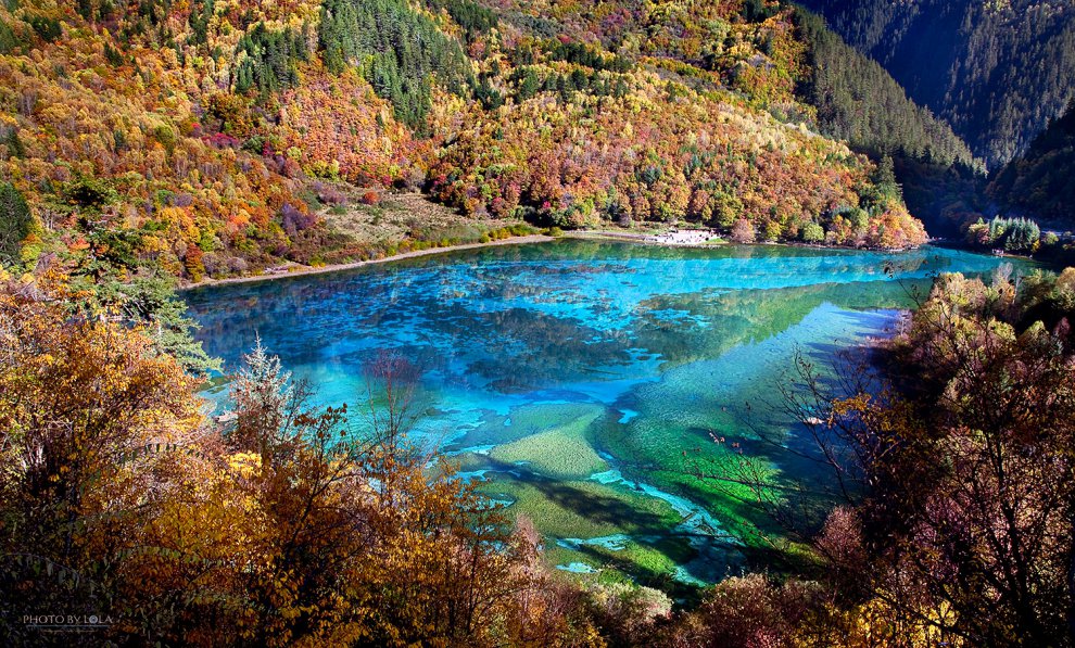 Озеро 5 см глубина. Озеро пяти цветов в Китае. Цзючжайгоу озеро пять цветов. Пятицветный пруд Китай. Озеро 5 цветов в Китае.