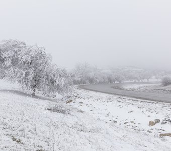 Дорога в Пиркули