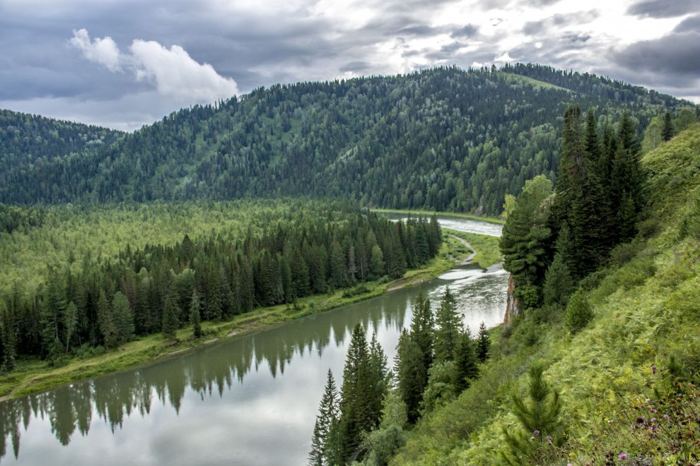 Водный кузбасс. Река Мрассу Горная Шория. Река Мрассу Кемеровская. Горная Шория Тайга. Мрас-Су река.