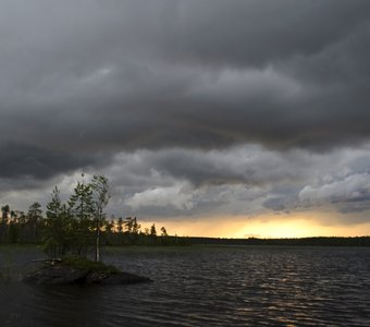 Перед грозой