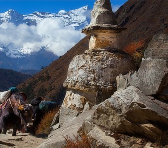 серия "Непал Многоликий"