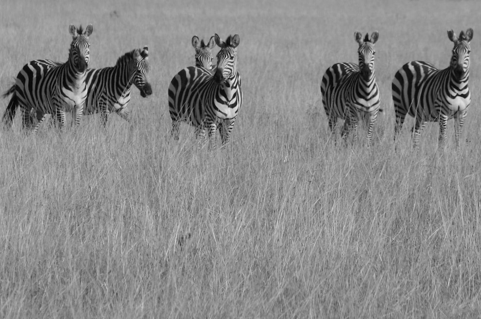 Великолепная шестерка — Фото №18115 — Russian Traveler