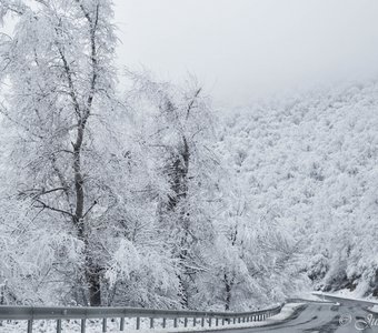 По дороге в Qebele