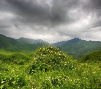 Минуты до дождя...