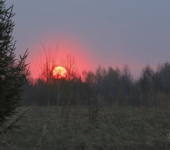 Рассвет над полем 25.04.2019