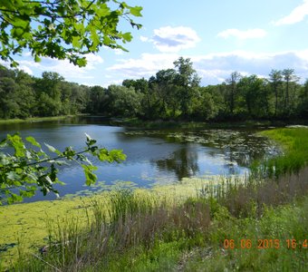 Дикое озеро