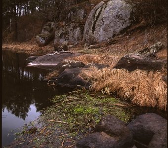 Скалы Полесья