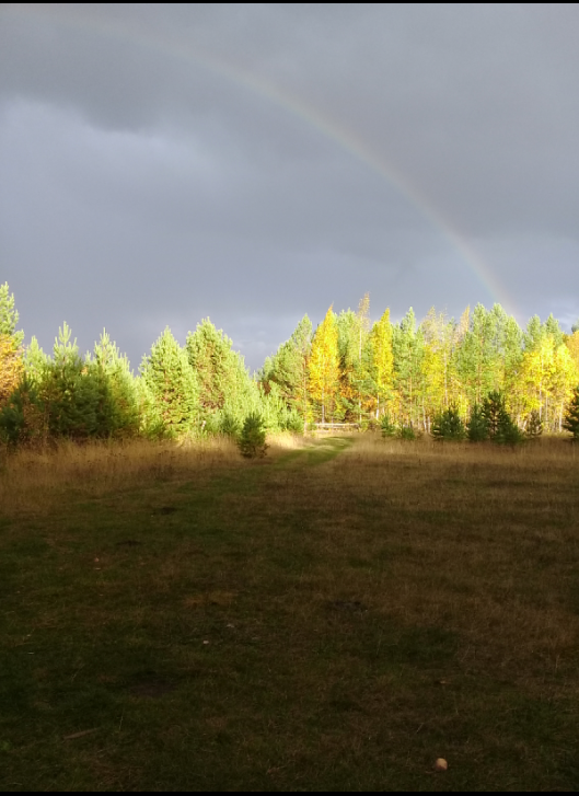 Красота моего края