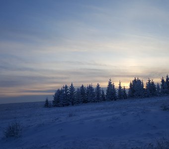 Возвращение домой