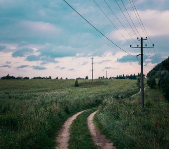 Запах скошенной травы