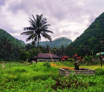 Природа Индонезии