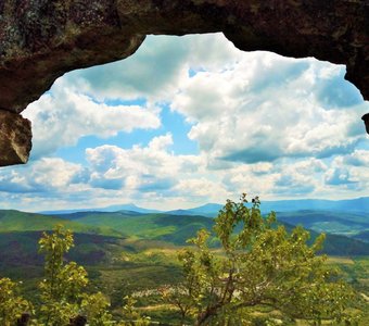 Пёстрый мир крымского лета