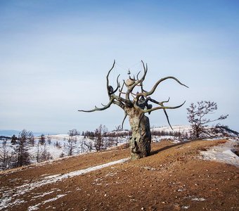 Озеро Байкал, февраль 2019