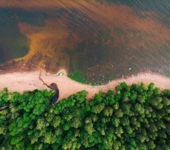 Балтийское море. Побережье финского залива