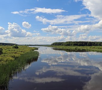 Рязанские просторы (панорама)