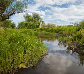 Полдень на р. Елань