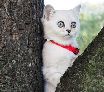 Природа вокруг нас