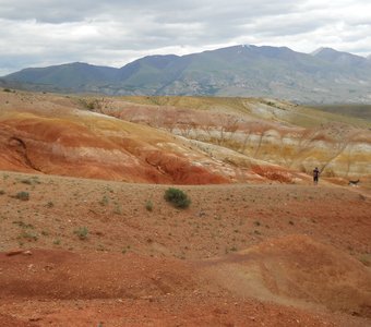 Есть ли жизнь на Марсе? На Алтайском Марсе точно есть!