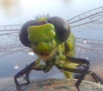 После дождя