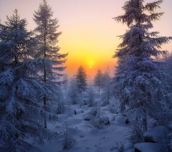 Зимний пейзаж. Якутия