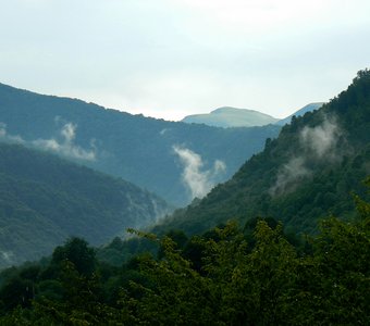 После дождя