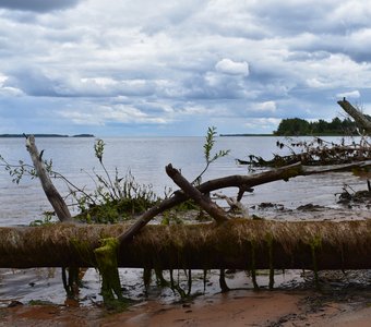 Рыбинское водохранилище