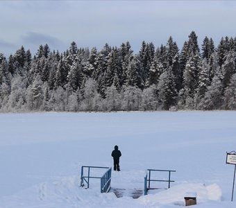 Лесная мощь