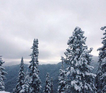 Байкальск, Иркутская область