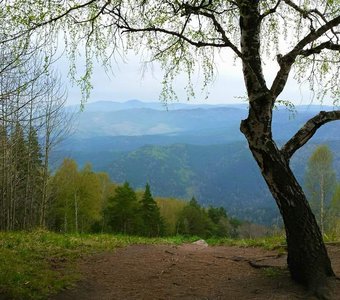 Белокуриха. Место для мечтаний.