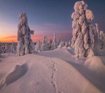 На сопках Кандалакши