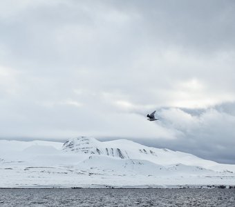 Арктический пейзаж