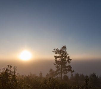 Восход солнца в тумане