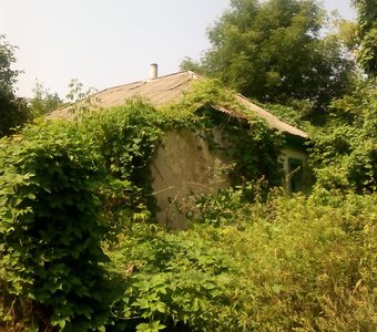 Природа берет свое