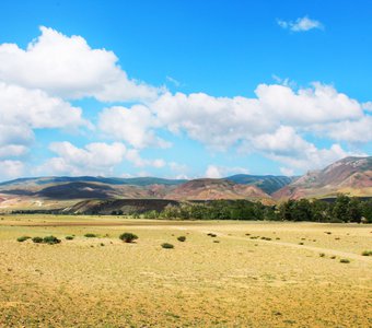 Хорошо там, где нас нет