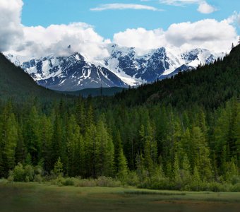 Маленький человек