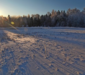 В звенящей тишине