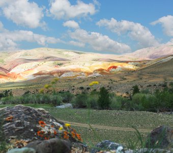 это Счастье, ты не видишь?