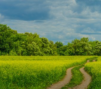 Курская Коренная Рождество-Богородичная пустынь.