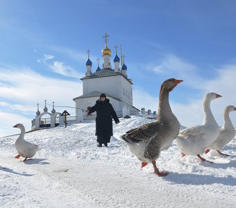 Провинциальный балет