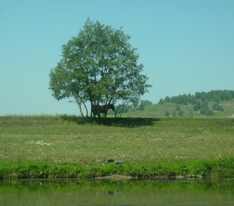 Жаркий день