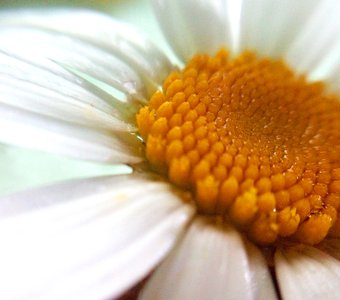 Солнце внутри