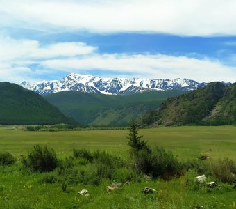 А где Милка?