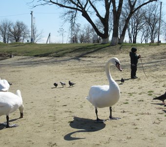 на водохранилище