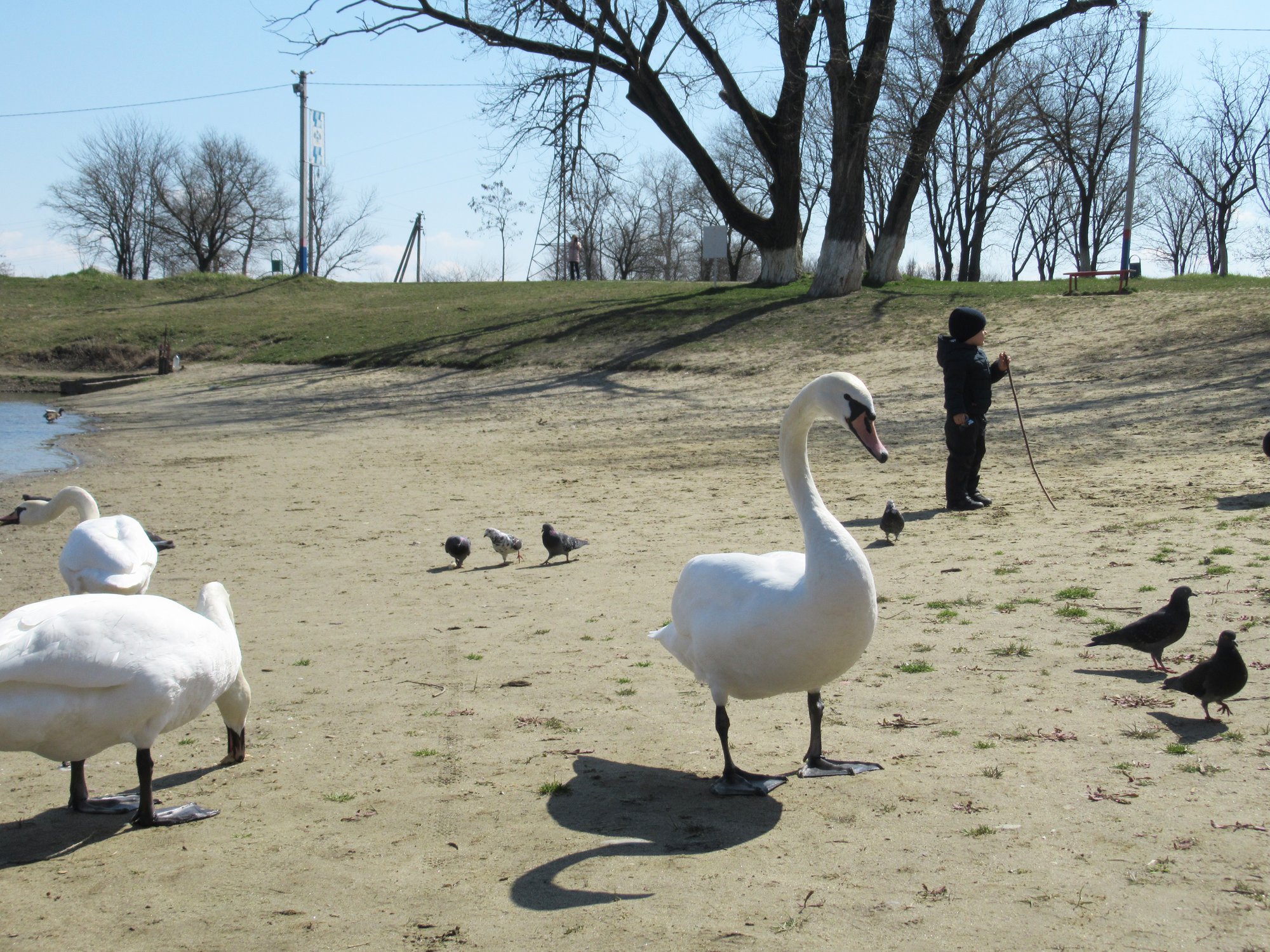 на водохранилище