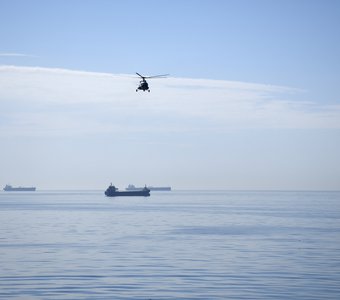 Черные крылья