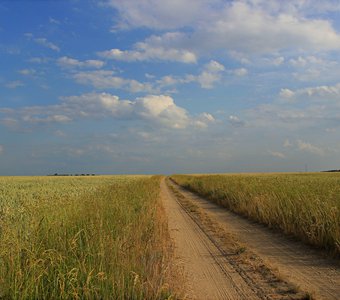 Дорога в поле.