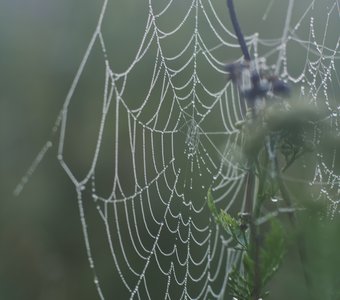 никого нет дома=)