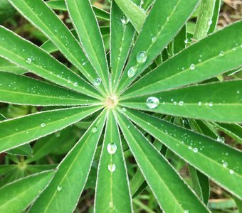 Хм..... ты ли это?