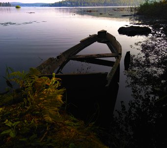 Последняя гавань