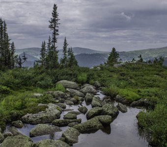 После дождя.